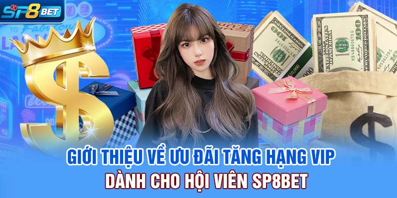 Giới thiệu về ưu đãi tăng hạng VIP dành cho hội viên SP8bet