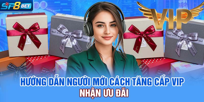 Hướng dẫn người mới cách tăng cấp VIP nhận ưu đãi