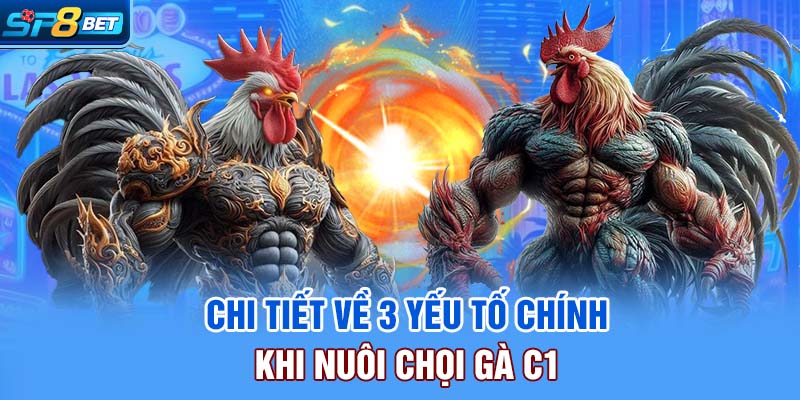Chi tiết về 3 yếu tố chính khi nuôi chọi gà C1