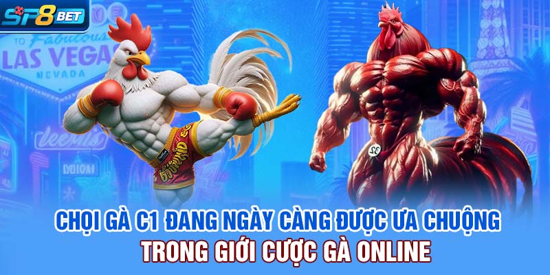 Chọi gà C1 đang ngày càng được ưa chuộng trong giới cược gà online