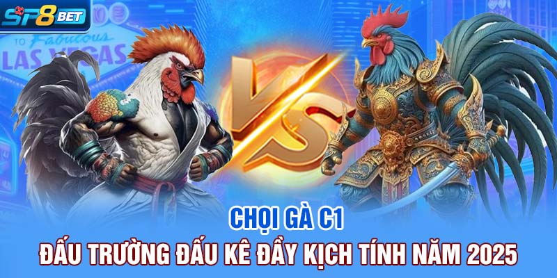 Chọi gà C1 đang ngày càng được ưa chuộng trong giới cược gà online