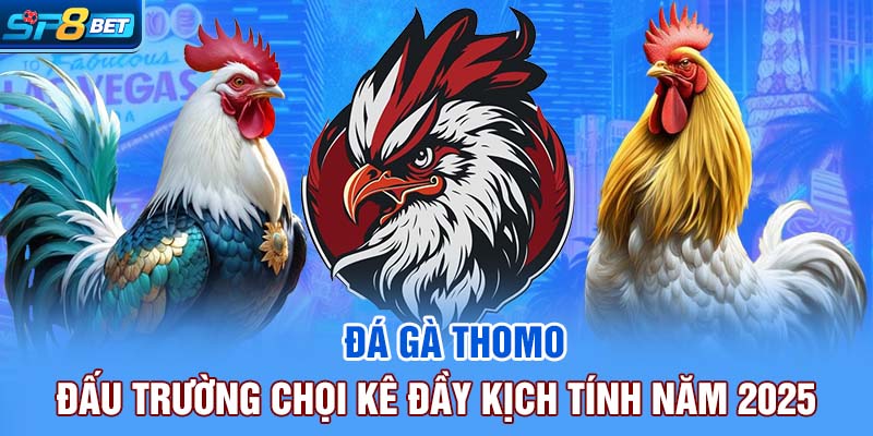 Các mẹo chơi đá gà Thomo SP8bet dự đoán thần kê
